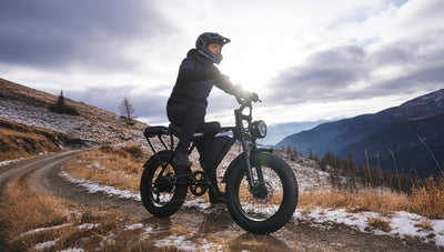 E-Bikes: From Concept to Everyday Mobility——The T8 E-Bike in Detail