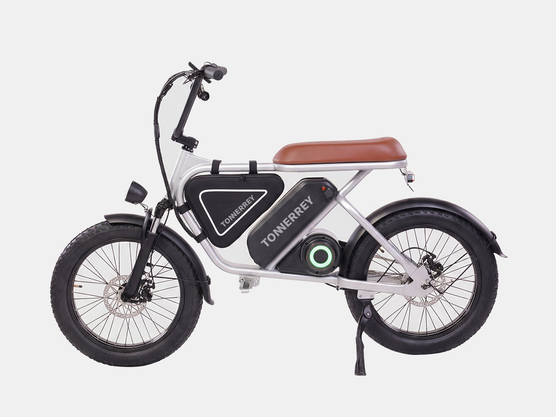 Tonnerrey X4 Moped-Style 20-Inch Adult Motorized Dirt Bikes