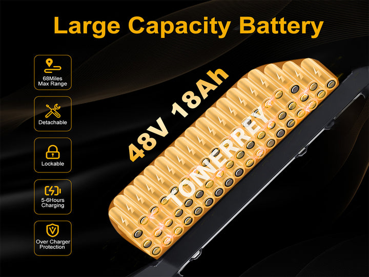 Tonnerrey X3 1500W Fat Tire Electric Dirt Bike