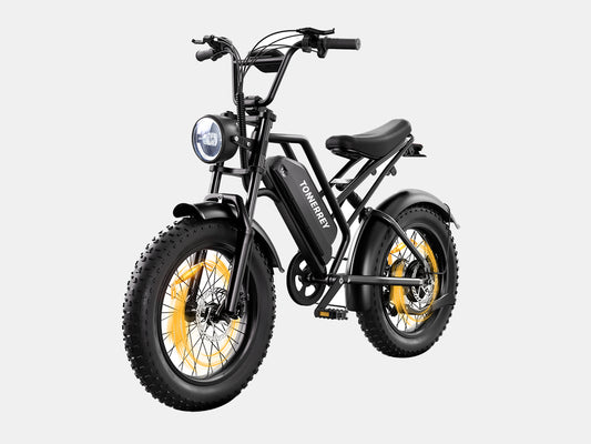Tonnerrey X3 1500W Fat Tire Electric Dirt Bike