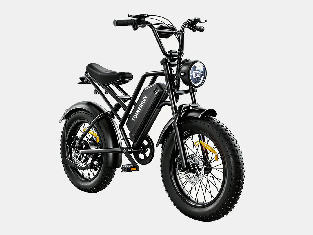 Tonnerrey X3 1500W Fat Tire Electric Dirt Bike
