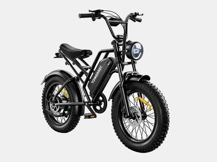 Tonnerrey X3 1500W Fat Tire Electric Dirt Bike
